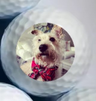 Set of Three Golfballs - Customized with Photo